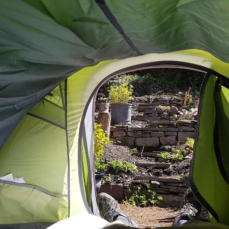 'Yellow Wood Micro Hostel-Eco Urban Bothy Style Very Basic But Cosy Redecorating But Cheap & Friendly Quiet Time Lockout 11Pm-7Am Bring Towel Or Hire Brecon Buitenkant foto