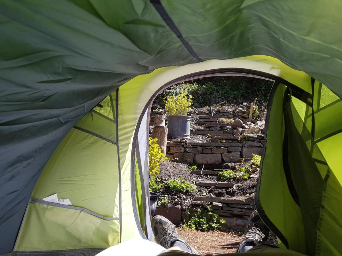 'Yellow Wood Micro Hostel-Eco Urban Bothy Style Very Basic But Cosy Redecorating But Cheap & Friendly Quiet Time Lockout 11Pm-7Am Bring Towel Or Hire Brecon Buitenkant foto