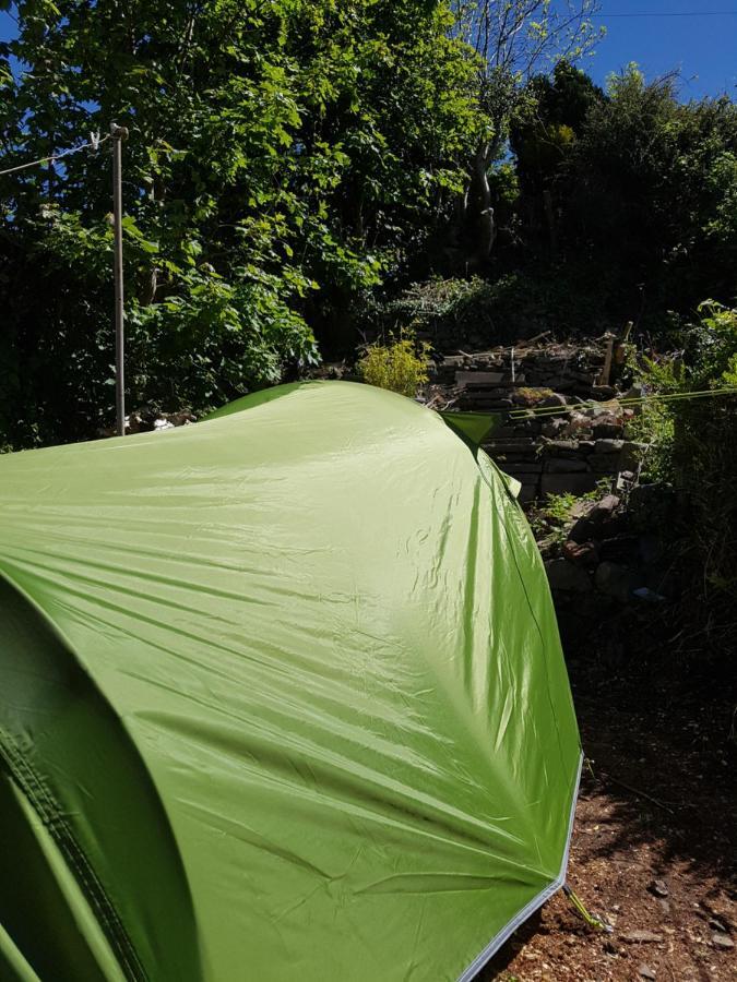 'Yellow Wood Micro Hostel-Eco Urban Bothy Style Very Basic But Cosy Redecorating But Cheap & Friendly Quiet Time Lockout 11Pm-7Am Bring Towel Or Hire Brecon Buitenkant foto